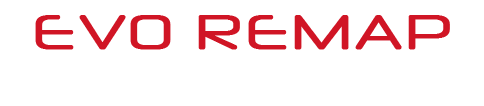 Evo Remap – Support Services